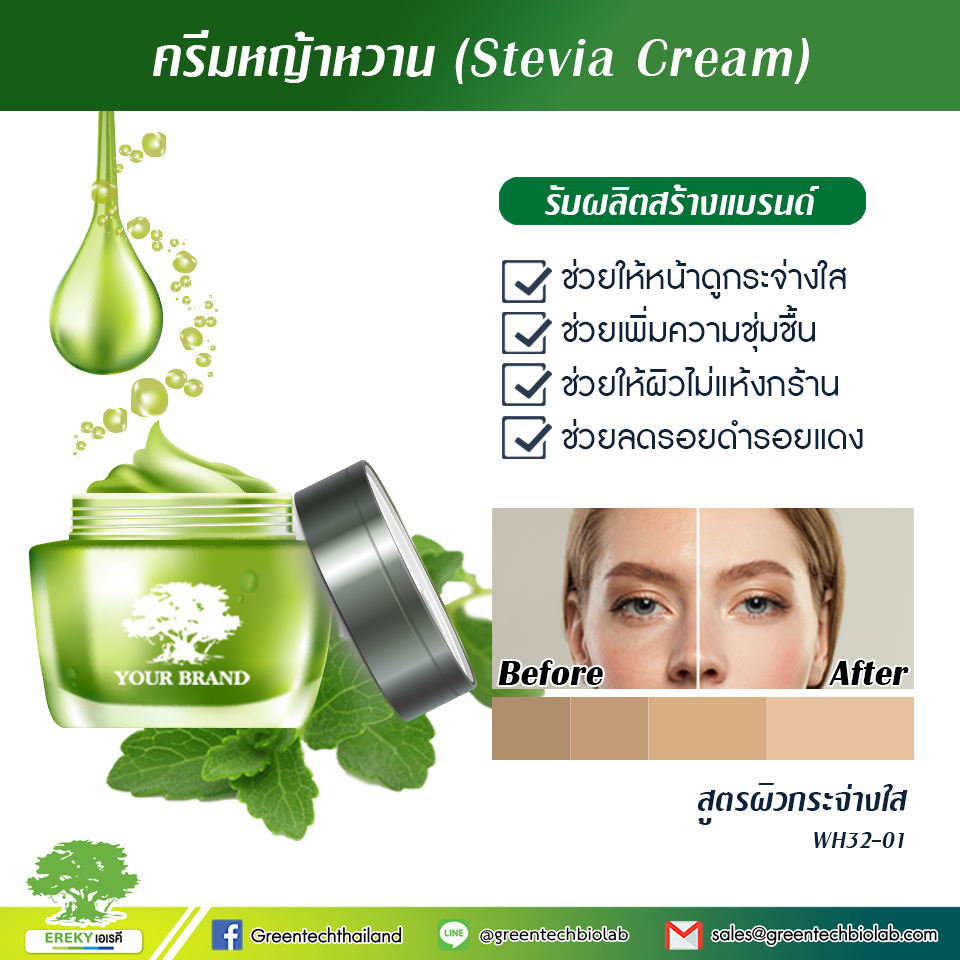 ครีมหญ้าหวาน (Stevia Cream)